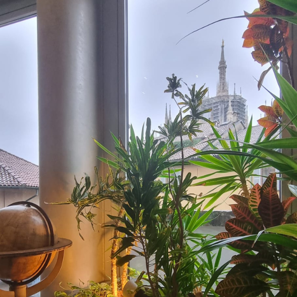 Studio Legale Penale a Milano Avv. Rossella Gallo